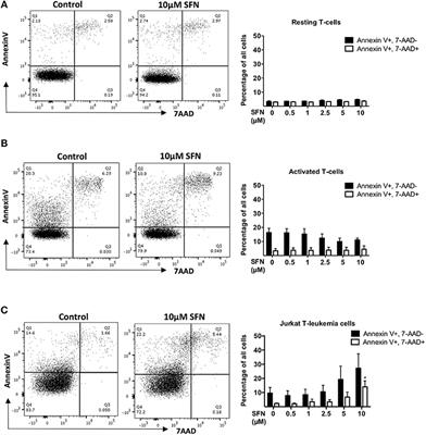 Sulforaphane Inhibits Inflammatory Responses of Primary Human T-Cells by Increasing ROS and Depleting Glutathione